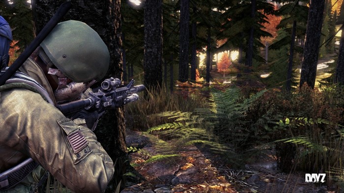 Soldier aiming a rifle in a forest in DayZ