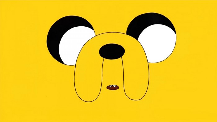Jake the Dog from Adventure Time close-up