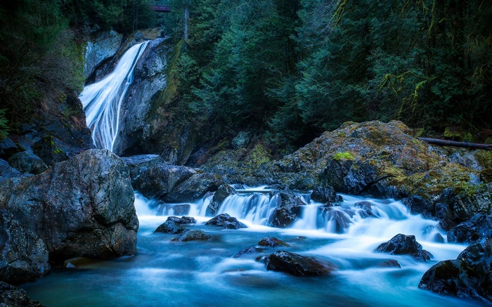 Waterfall cascading over rocks in a lush forest