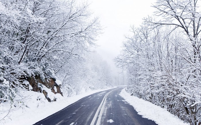 Winding road through a snow-covered forest in winter