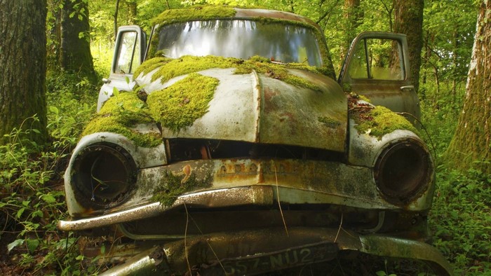 Abandoned vintage car covered in moss in a forest
