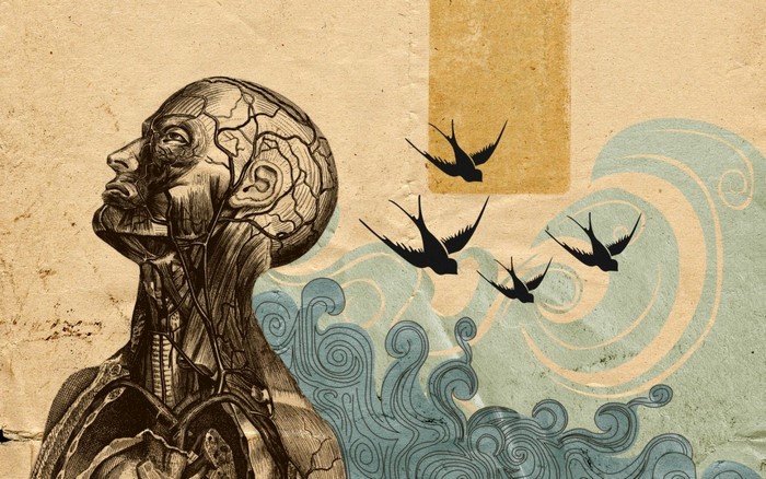 Anatomical Illustration of a Head with Swallows and Waves