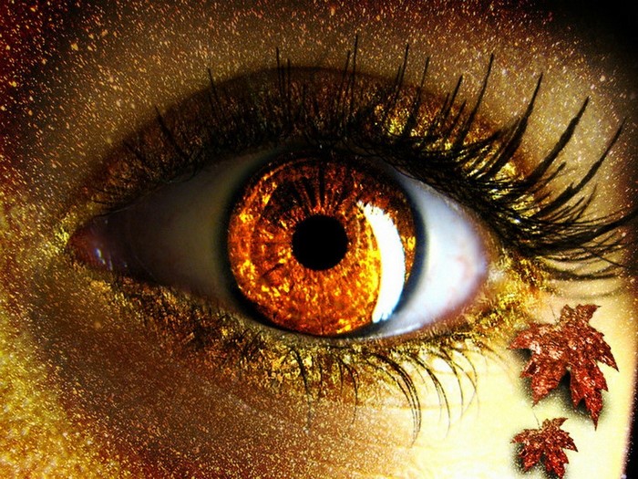 Close-up of a human eye with golden iris and autumn leaves