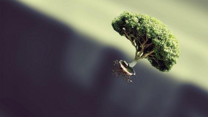 Floating tree with roots and soil
