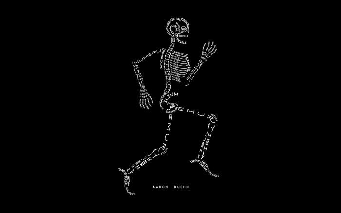 Skeleton made of anatomical text
