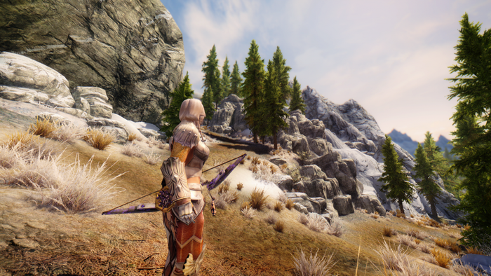 The Elder Scrolls V Skyrim wilderness adventure