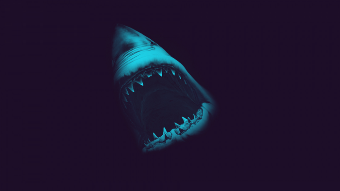Great White Shark with open mouth and sharp teeth