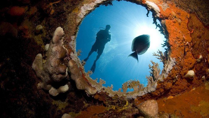 Scuba diver and fish near coral reef underwater