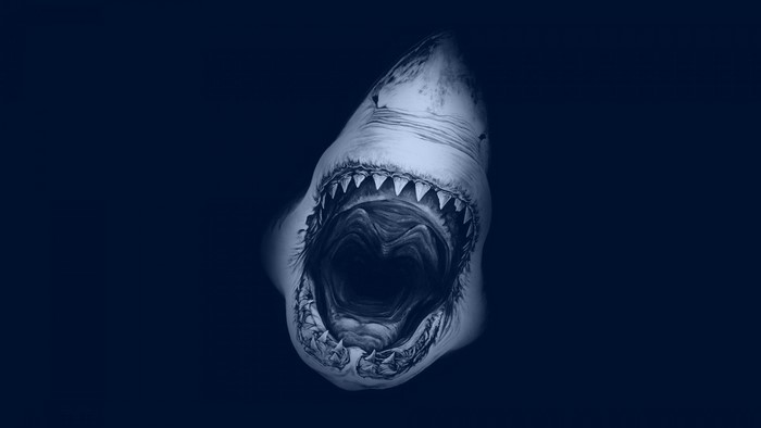 Great White Shark with open mouth and teeth