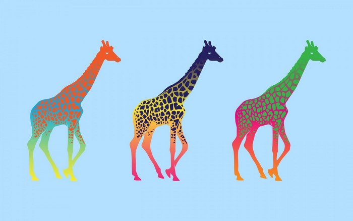 Three colorful giraffes on a light blue background