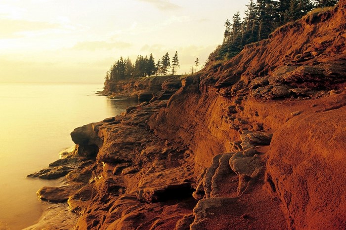 Red sandstone cliffs and trees by the sea at sunset