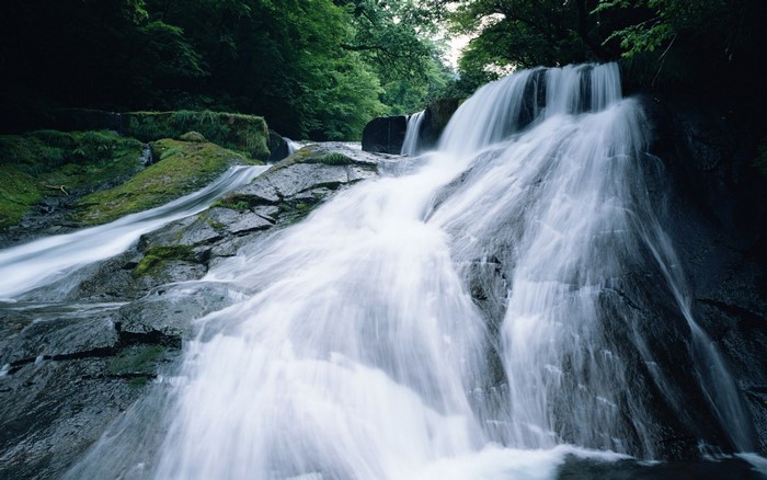 Waterfall cascading over rocks in a forest