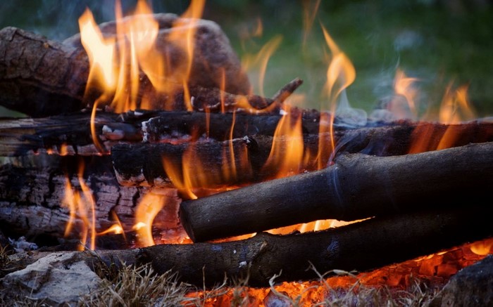 Campfire with burning logs and flames