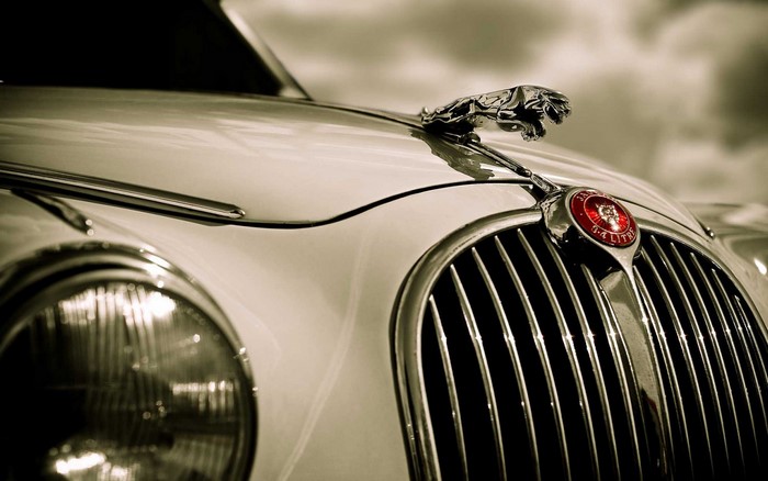 Jaguar car hood ornament and grille