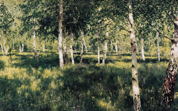 Birch trees in a sunlit meadow