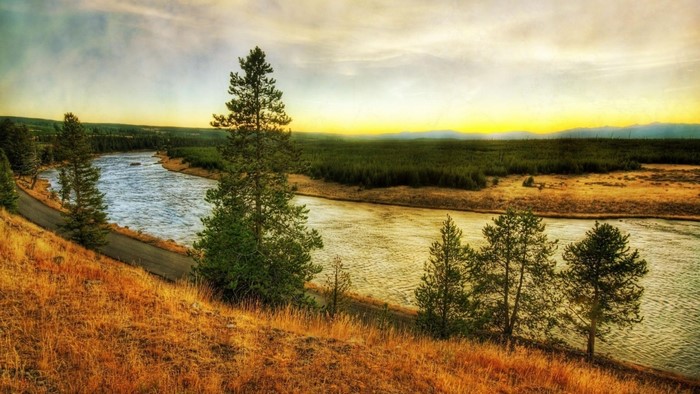 River flowing through a forest at sunset