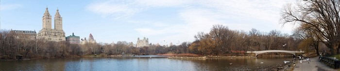 Central Park Lake with Buildings and Bridge, New York City