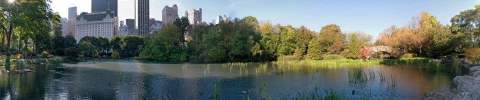 Central Park lake with autumn trees and New York City skyline