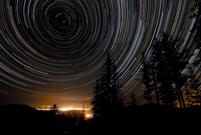 Star trails over a city at night with silhouetted trees