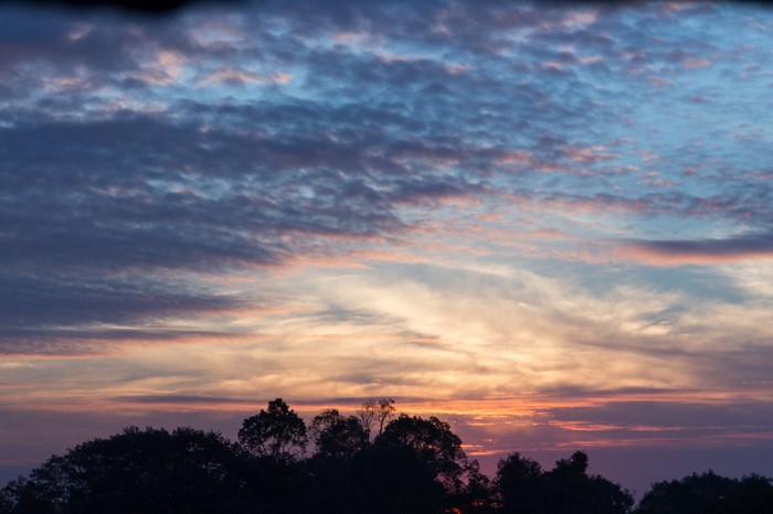 Sunset sky over trees in Cambodia