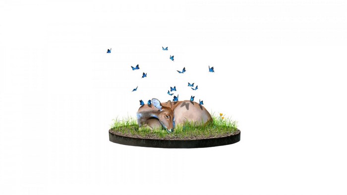 Illustration of a deer sleeping surrounded by butterflies