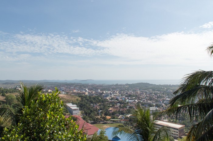 Aerial view of a coastal city with palm trees in the foreground