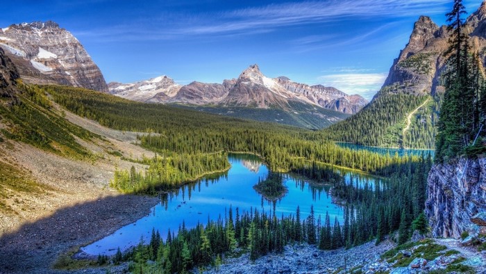 Mountain lake and forest landscape