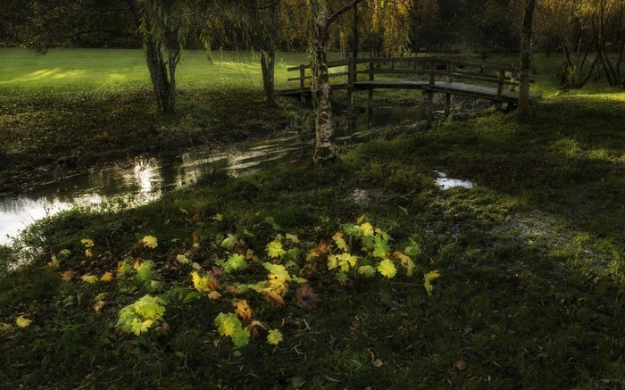 Wooden bridge over a stream in a sunlit autumn garden