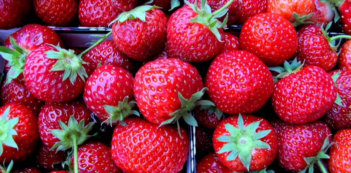 Close-up of fresh strawberries