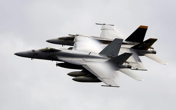 Two McDonnell Douglas F/A-18 Hornets in flight