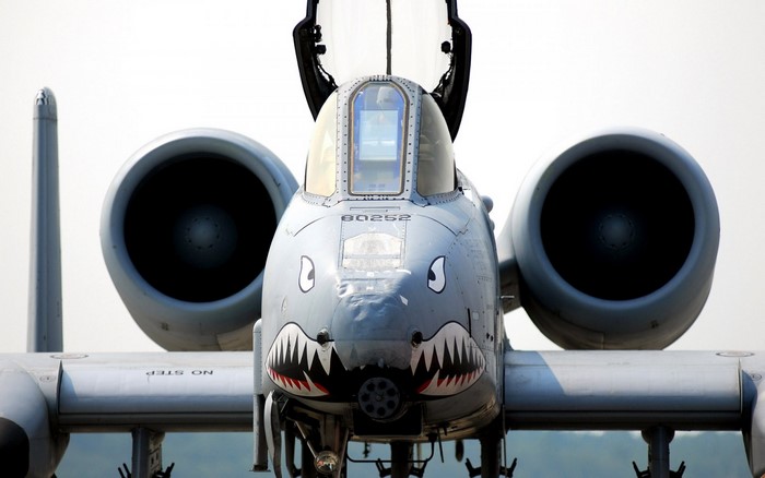 Fairchild Republic A-10 Thunderbolt II with shark teeth nose art