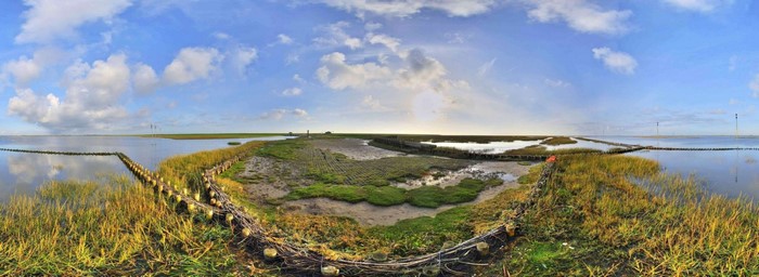 Panoramic view of a coastal wetland with wooden barriers