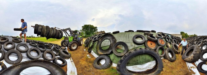 Tractor and men covering silage with tires