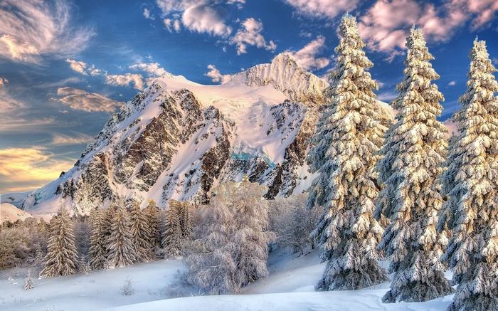 Snow-covered mountains and pine trees under a cloudy sky