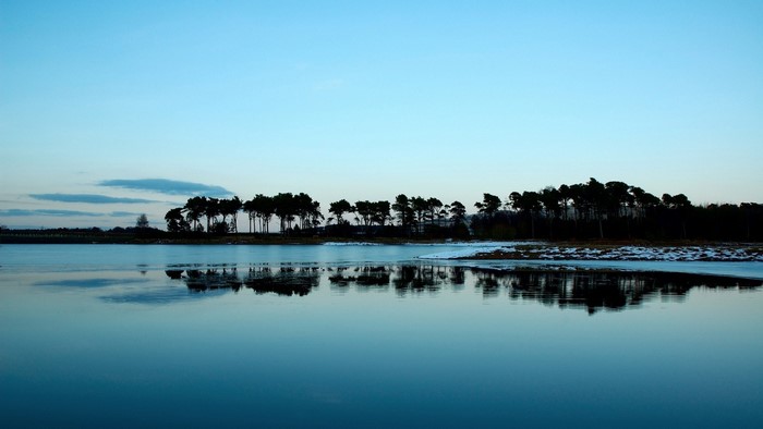 Calm lake reflecting trees at dusk
