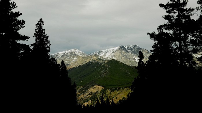 Snow-capped mountains viewed through silhouetted pine trees