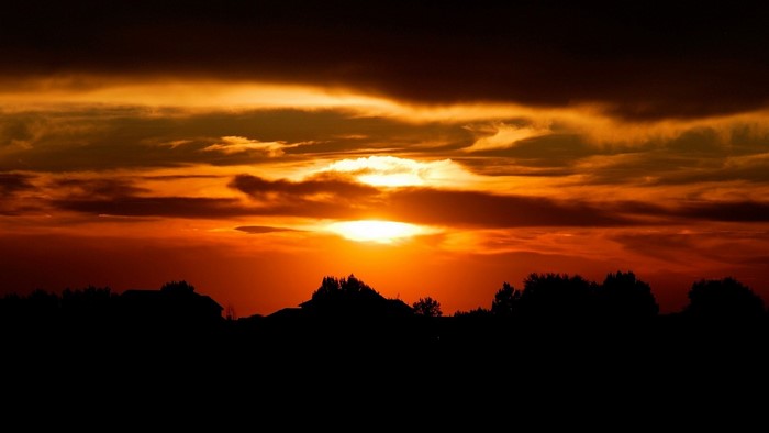 Sunset over silhouetted trees and houses