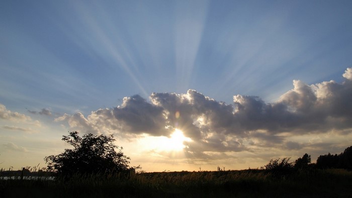 Sunbeams shining through clouds over a field at sunset