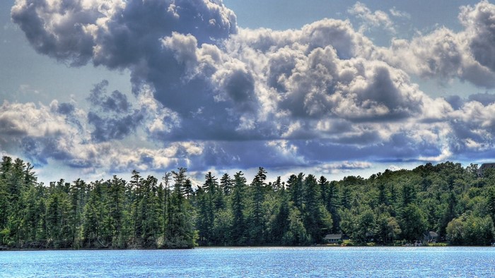Lake with trees and dramatic clouds