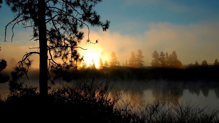 Sunrise over a misty lake with silhouetted trees