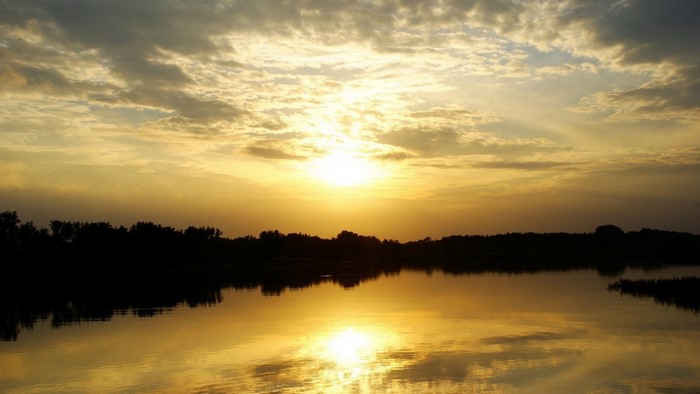 Sunset over a lake with silhouetted trees