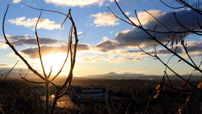 Sunset over mountains with silhouetted branches