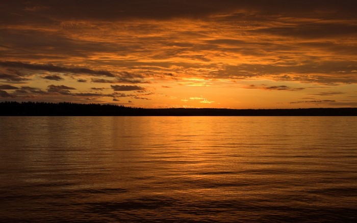 Sunset over a calm lake with silhouetted trees