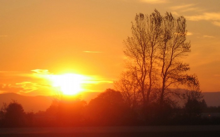 Sunset over a field with trees and mountains