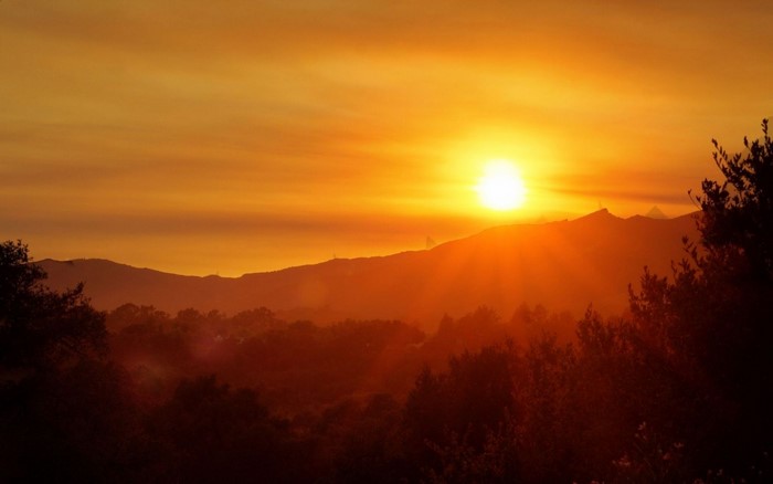 Sunset over rolling hills with trees