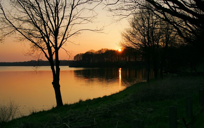 Sunset over a calm lake with silhouetted trees