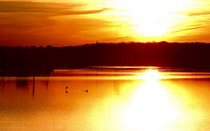 Sunset over a lake with birds