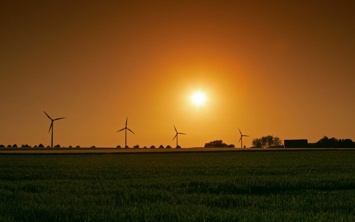 Windmills at sunset over a green field