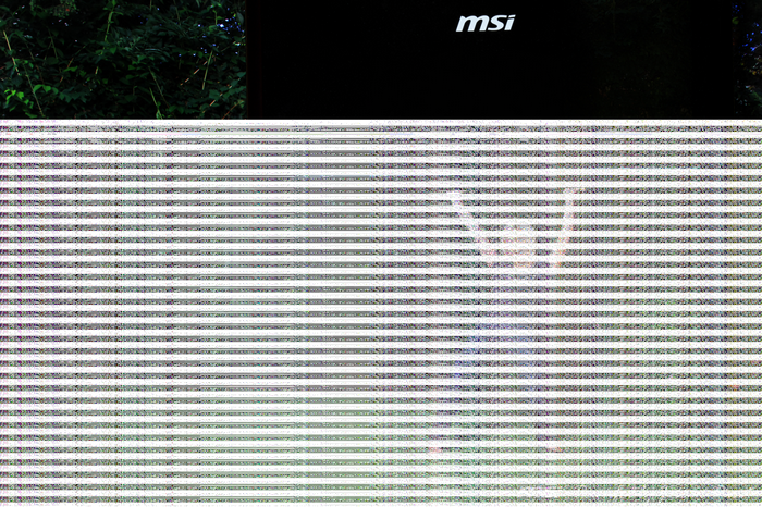 MSI logo on a black surface with green foliage
