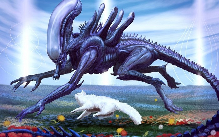 Xenomorph from Alien movie and a cat